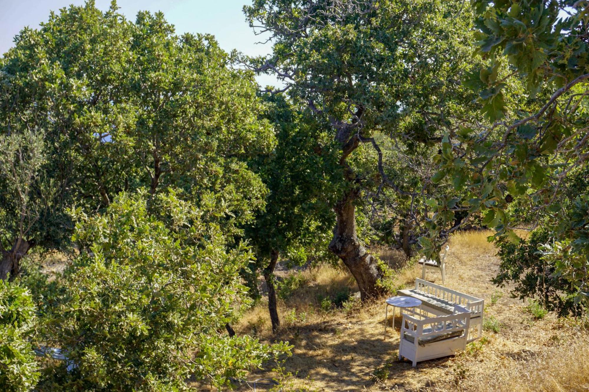 My Old Stone House In A 2 000 Sqm Private Garden With Fab Glamping Tent Mandrákion Exterior photo